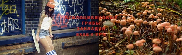 jwh Белокуриха