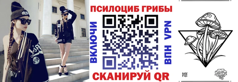 Галлюциногенные грибы Psilocybe  Пионерский 